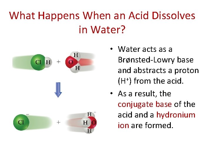 What Happens When an Acid Dissolves in Water? • Water acts as a Brønsted-Lowry