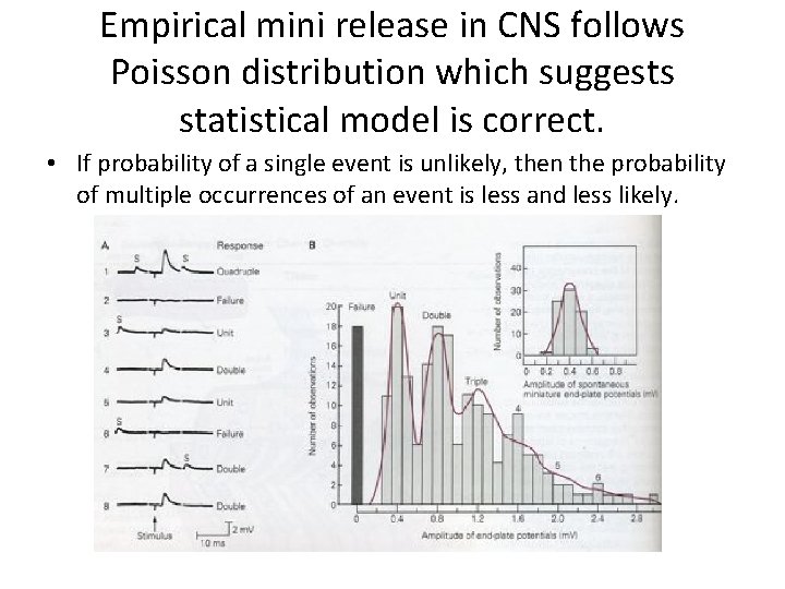 Empirical mini release in CNS follows Poisson distribution which suggests statistical model is correct.