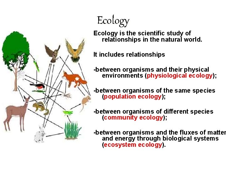Ecology is the scientific study of relationships in the natural world. It includes relationships