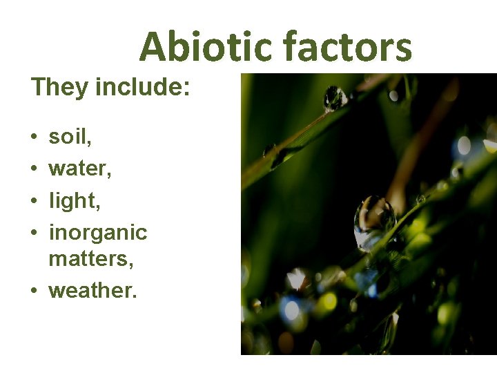 Abiotic factors They include: • • soil, water, light, inorganic matters, • weather. 