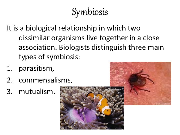 Symbiosis It is a biological relationship in which two dissimilar organisms live together in