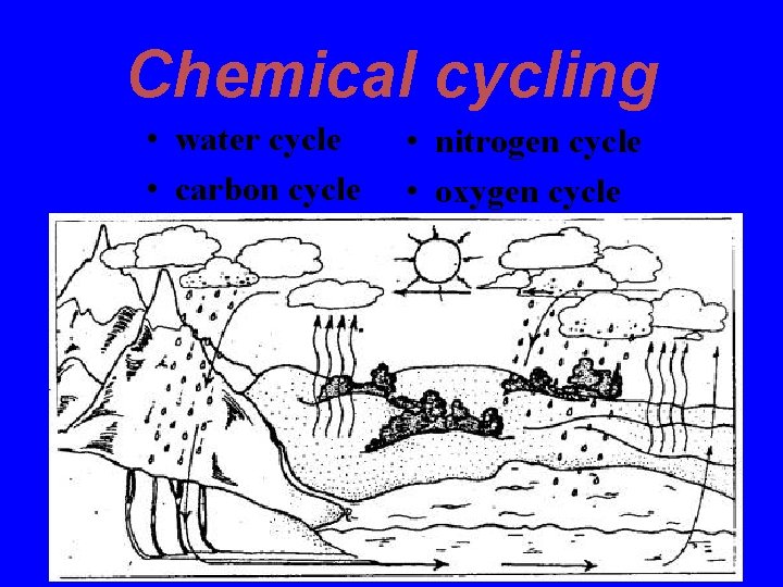 Chemical cycling • water cycle • carbon cycle • nitrogen cycle • oxygen cycle