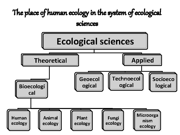 The place of human ecology in the system of ecological sciences Ecological sciences Applied