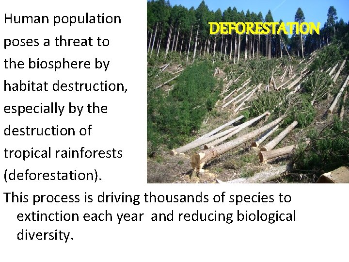 Human population DEFORESTATION poses a threat to the biosphere by habitat destruction, especially by