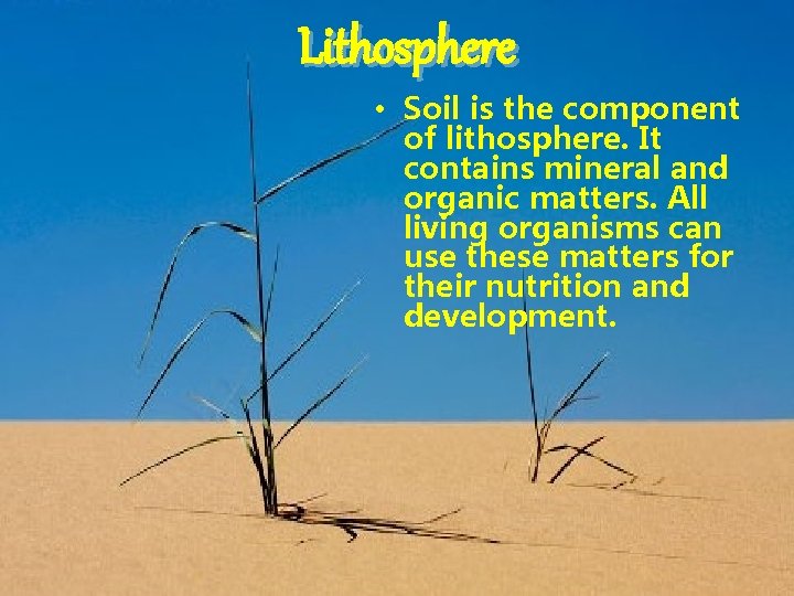 Lithosphere • Soil is the component of lithosphere. It contains mineral and organic matters.