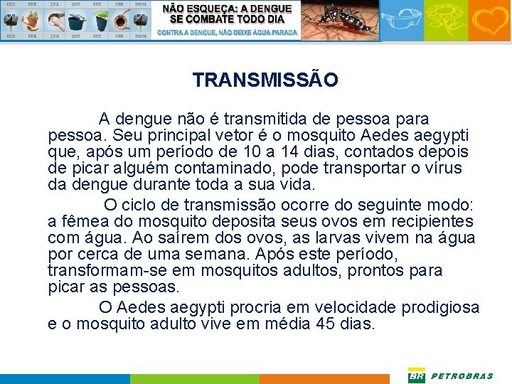 TRANSMISSÃO A dengue não é transmitida de pessoa para pessoa. Seu principal vetor é