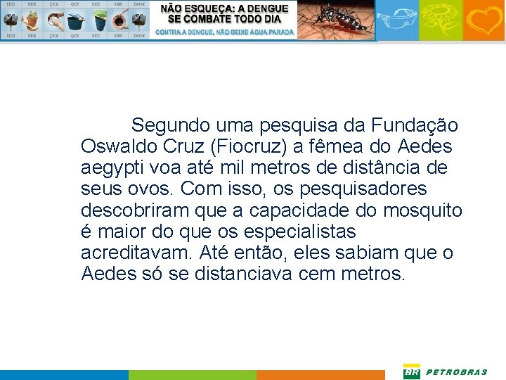 Segundo uma pesquisa da Fundação Oswaldo Cruz (Fiocruz) a fêmea do Aedes aegypti voa