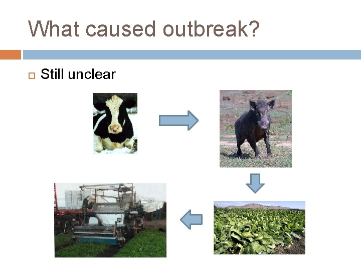 What caused outbreak? Still unclear 