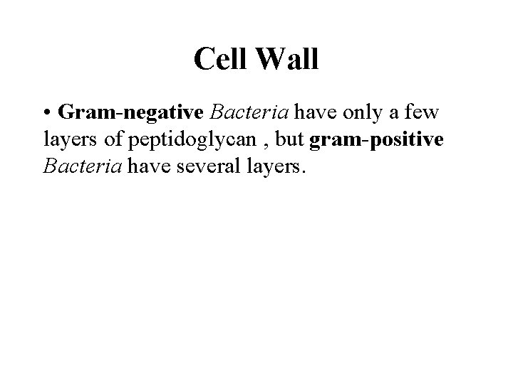 Cell Wall • Gram-negative Bacteria have only a few layers of peptidoglycan , but