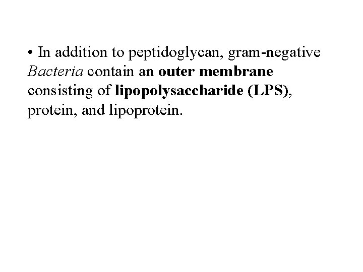  • In addition to peptidoglycan, gram-negative Bacteria contain an outer membrane consisting of