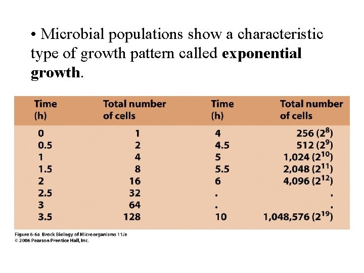  • Microbial populations show a characteristic type of growth pattern called exponential growth.