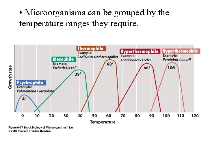  • Microorganisms can be grouped by the temperature ranges they require. 