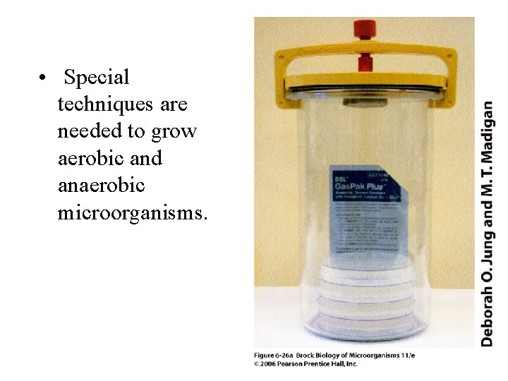  • Special techniques are needed to grow aerobic and anaerobic microorganisms. 