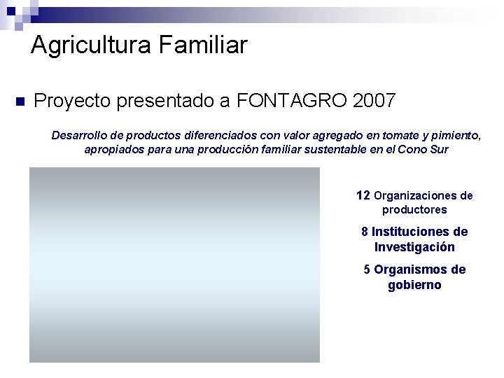 Agricultura Familiar n Proyecto presentado a FONTAGRO 2007 Desarrollo de productos diferenciados con valor
