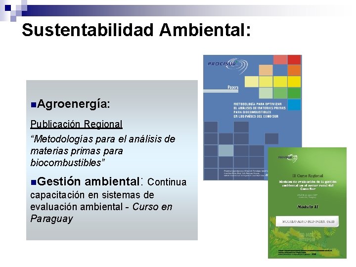 Sustentabilidad Ambiental: n. Agroenergía: Publicación Regional “Metodologías para el análisis de materias primas para
