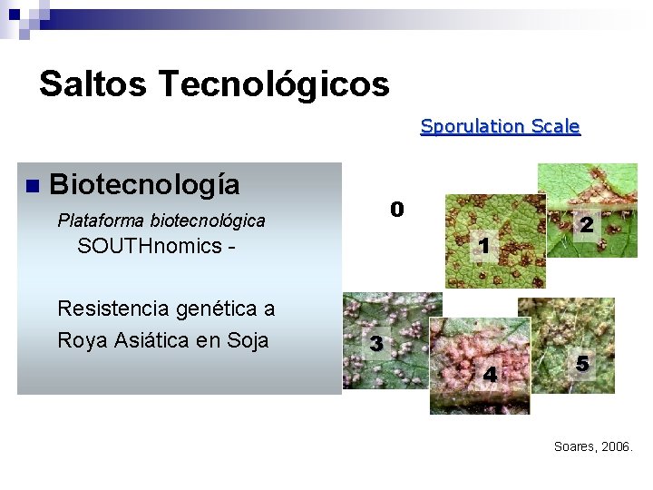 Saltos Tecnológicos Sporulation Scale n Biotecnología 0 Plataforma biotecnológica 1 SOUTHnomics Resistencia genética a