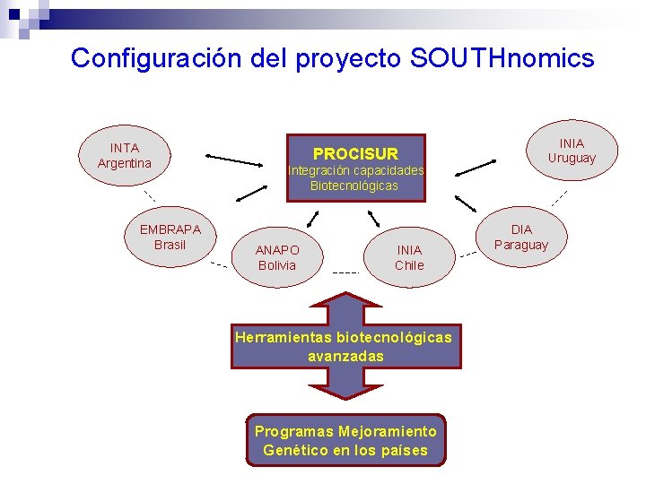 Configuración del proyecto SOUTHnomics INTA Argentina EMBRAPA Brasil INIA Uruguay PROCISUR Integración capacidades Biotecnológicas