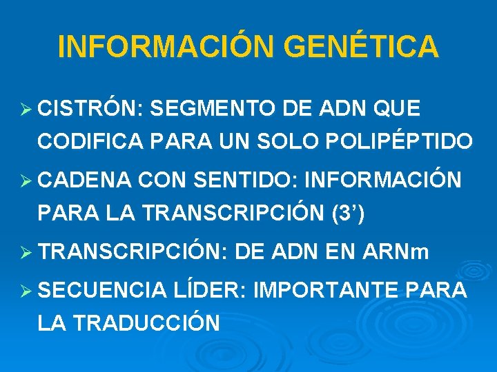 INFORMACIÓN GENÉTICA Ø CISTRÓN: SEGMENTO DE ADN QUE CODIFICA PARA UN SOLO POLIPÉPTIDO Ø