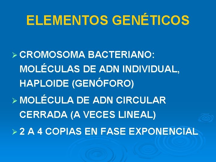 ELEMENTOS GENÉTICOS Ø CROMOSOMA BACTERIANO: MOLÉCULAS DE ADN INDIVIDUAL, HAPLOIDE (GENÓFORO) Ø MOLÉCULA DE