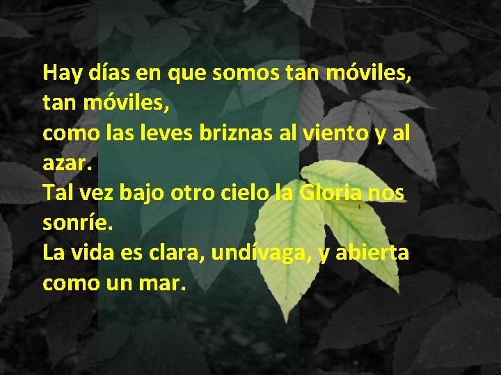 Hay días en que somos tan móviles, como las leves briznas al viento y