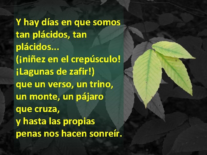 Y hay días en que somos tan plácidos, tan plácidos. . . (¡niñez en