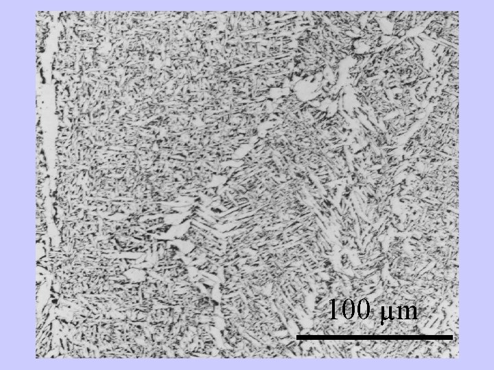 100 µm 