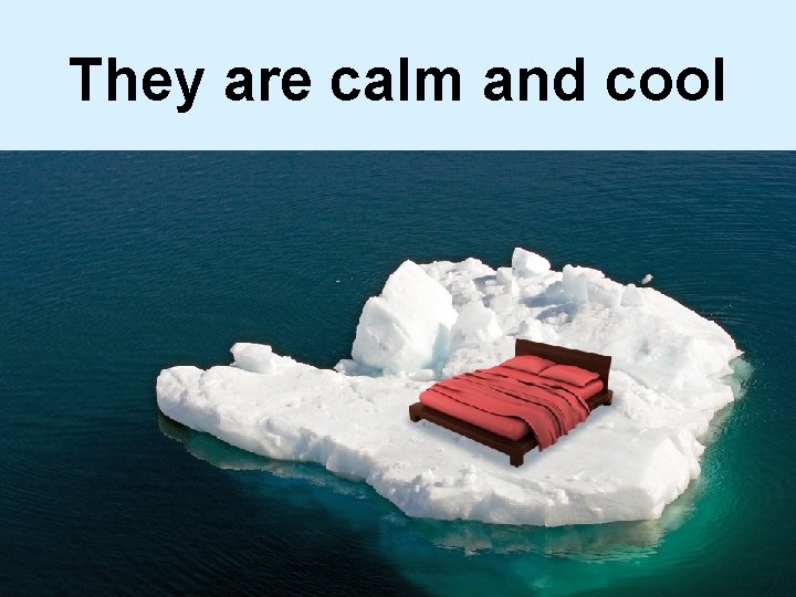 They are calm and cool 