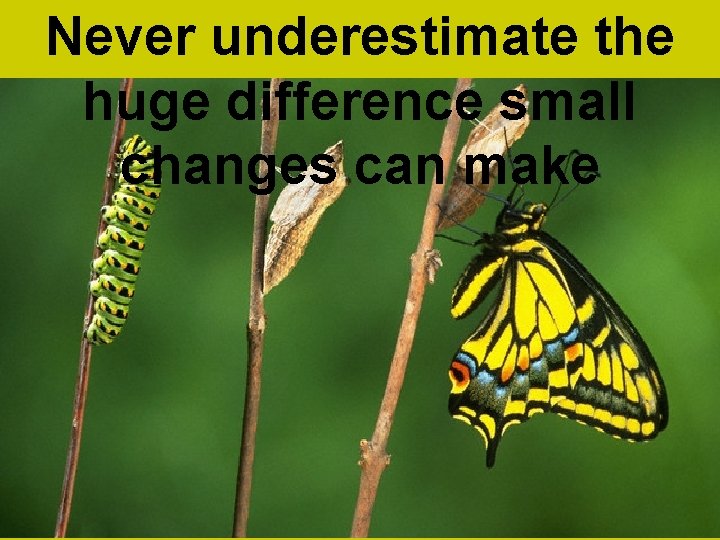Never underestimate the huge difference small changes can make 