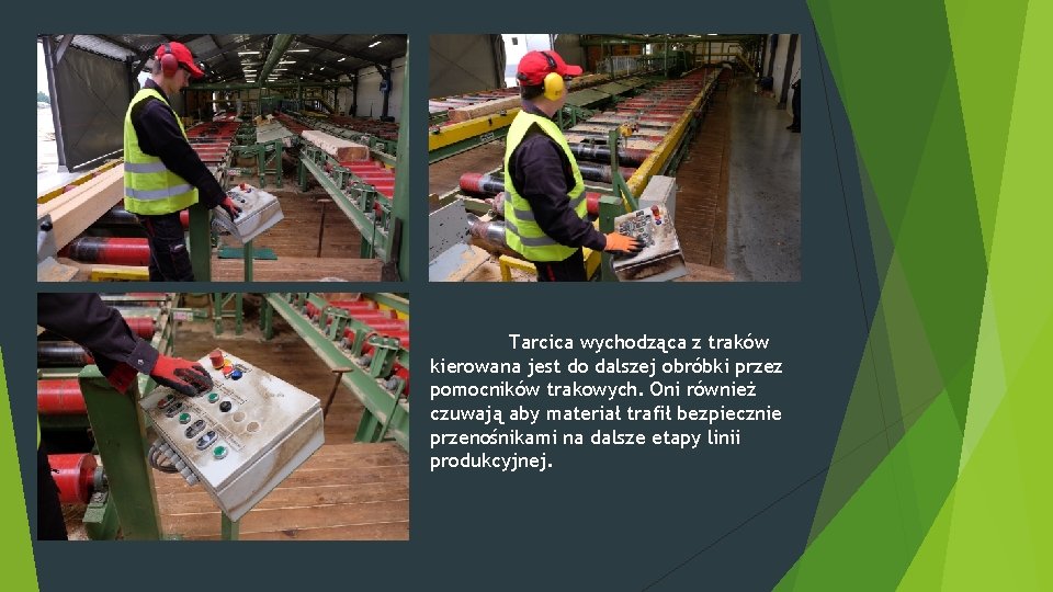 Tarcica wychodząca z traków kierowana jest do dalszej obróbki przez pomocników trakowych. Oni również