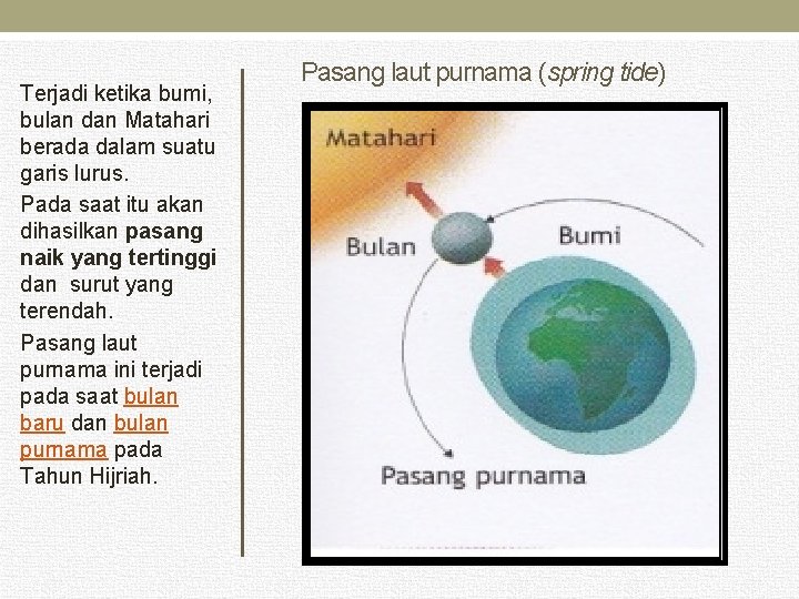 Terjadi ketika bumi, bulan dan Matahari berada dalam suatu garis lurus. Pada saat itu