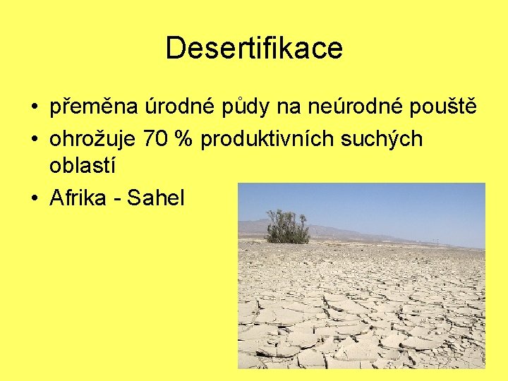 Desertifikace • přeměna úrodné půdy na neúrodné pouště • ohrožuje 70 % produktivních suchých