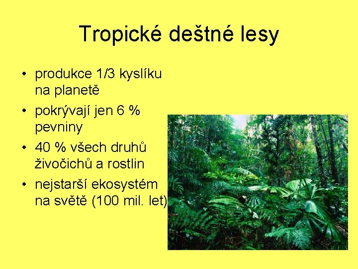 Tropické deštné lesy • produkce 1/3 kyslíku na planetě • pokrývají jen 6 %