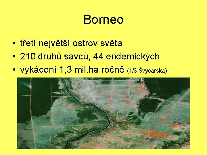 Borneo • třetí největší ostrov světa • 210 druhů savců, 44 endemických • vykácení