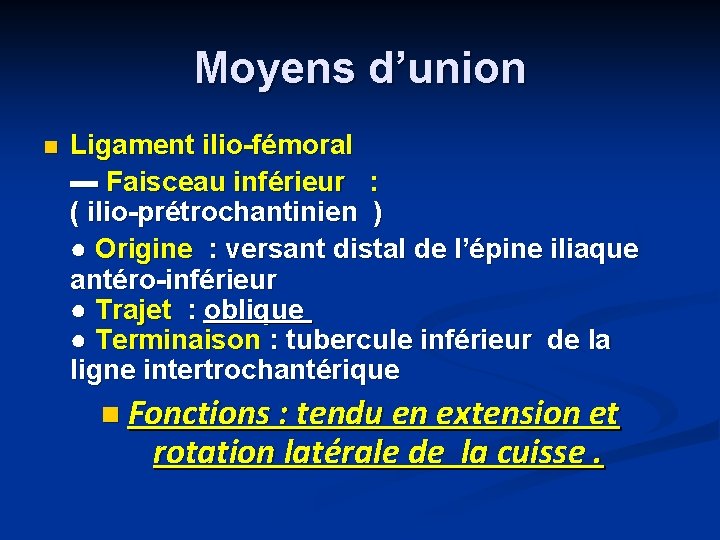 Moyens d’union n Ligament ilio-fémoral ▬ Faisceau inférieur : ( ilio-prétrochantinien ) ● Origine