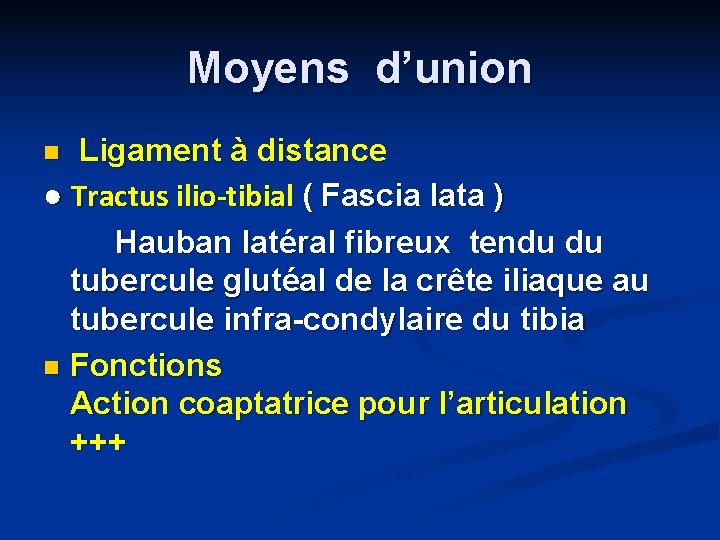 Moyens d’union Ligament à distance ● Tractus ilio-tibial ( Fascia lata ) Hauban latéral