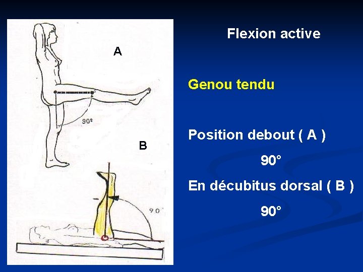 Flexion active A Genou tendu B Position debout ( A ) 90° En décubitus
