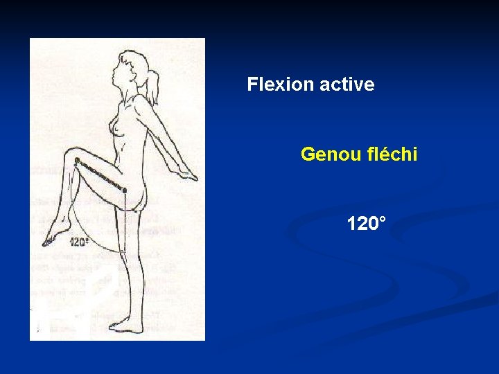 Flexion active Genou fléchi 120° 