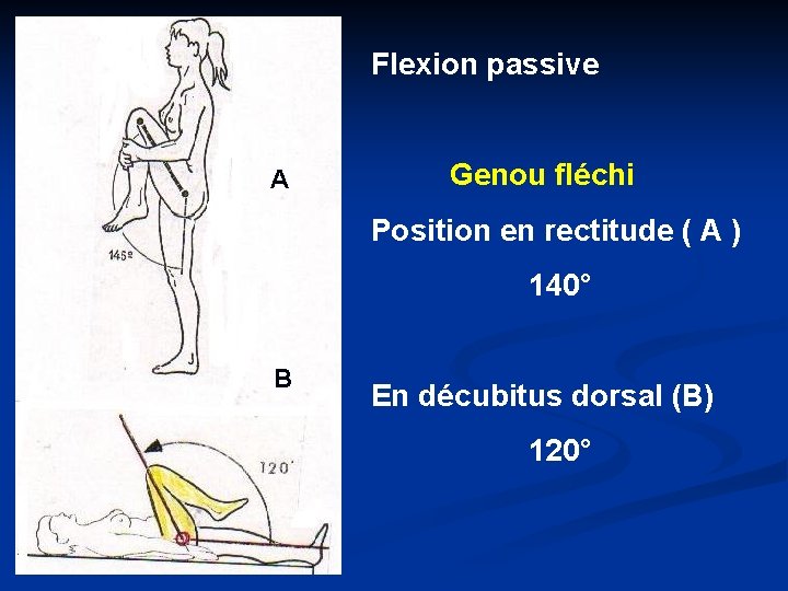 Flexion passive A Genou fléchi Position en rectitude ( A ) 140° B B