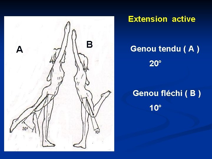 Extension active A B B Genou tendu ( A ) 20° Genou fléchi (
