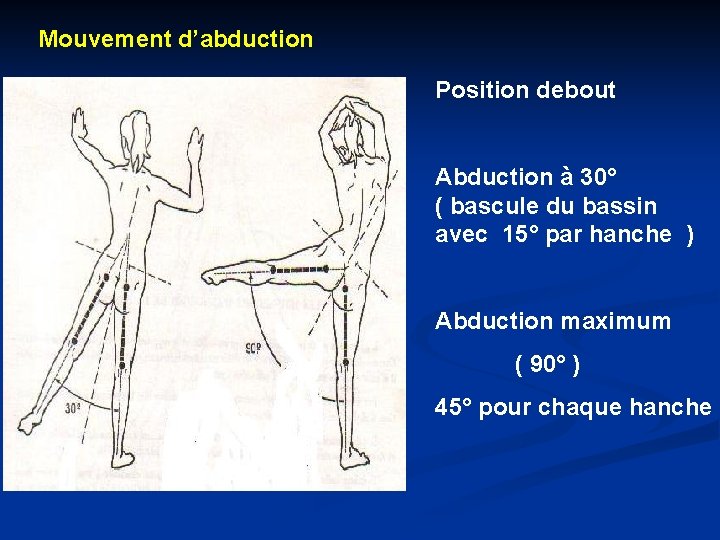 Mouvement d’abduction Position debout Abduction à 30° ( bascule du bassin avec 15° par