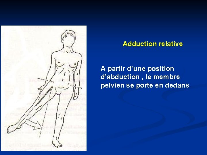 Adduction relative A partir d’une position d’abduction , le membre pelvien se porte en