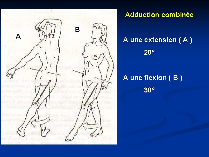  Adduction combinée A B A une extension ( A ) 20° A une