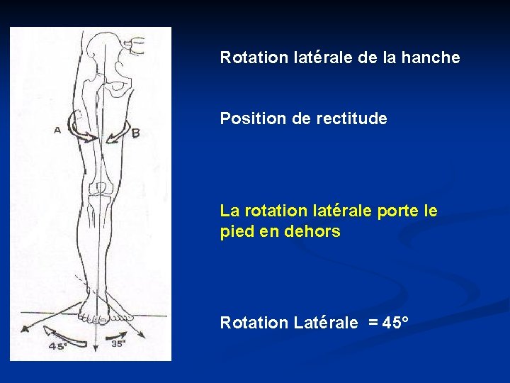 Rotation latérale de la hanche Position de rectitude La rotation latérale porte le pied