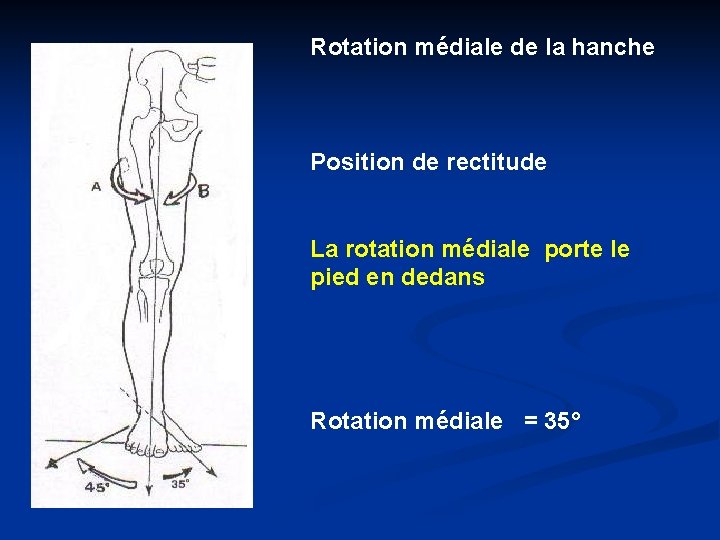 Rotation médiale de la hanche Position de rectitude La rotation médiale porte le pied