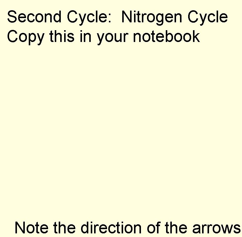 Second Cycle: Nitrogen Cycle Copy this in your notebook Note the direction of the