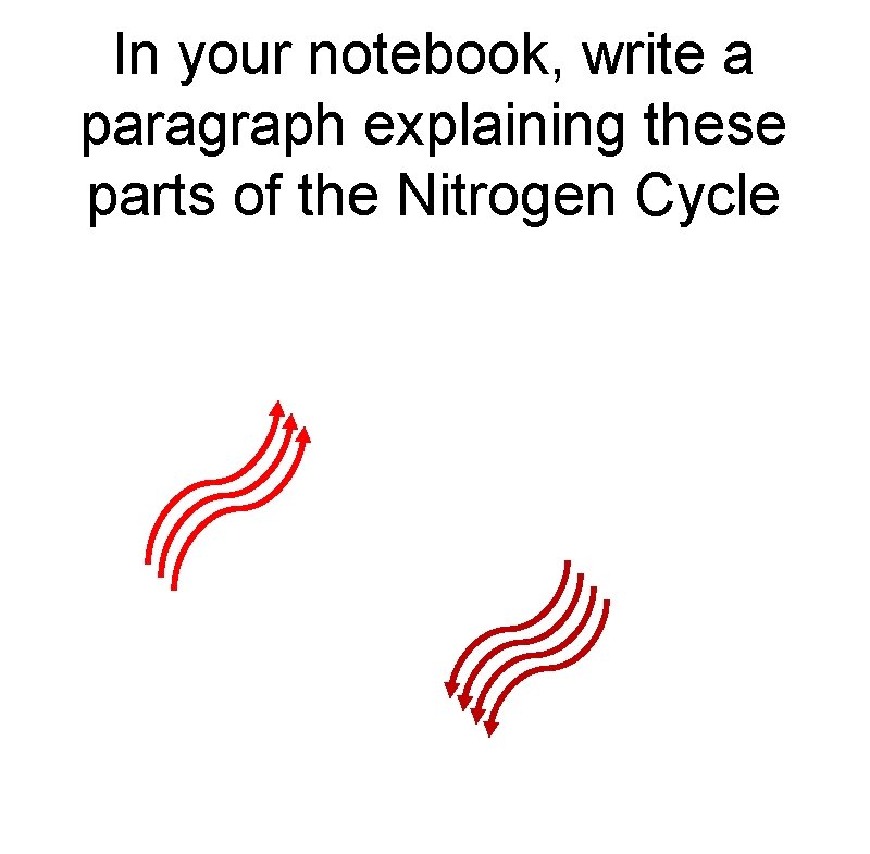 In your notebook, write a paragraph explaining these parts of the Nitrogen Cycle 