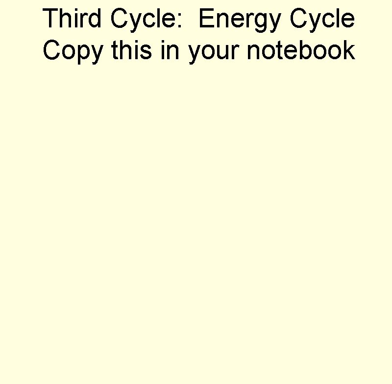 Third Cycle: Energy Cycle Copy this in your notebook 