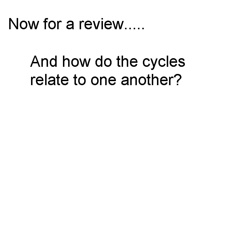 Now for a review. . . And how do the cycles relate to one