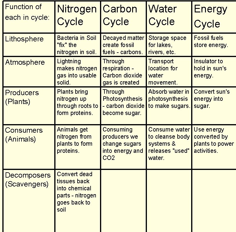 Function of each in cycle: Nitrogen Carbon Cycle Lithosphere Bacteria in Soil "fix" the