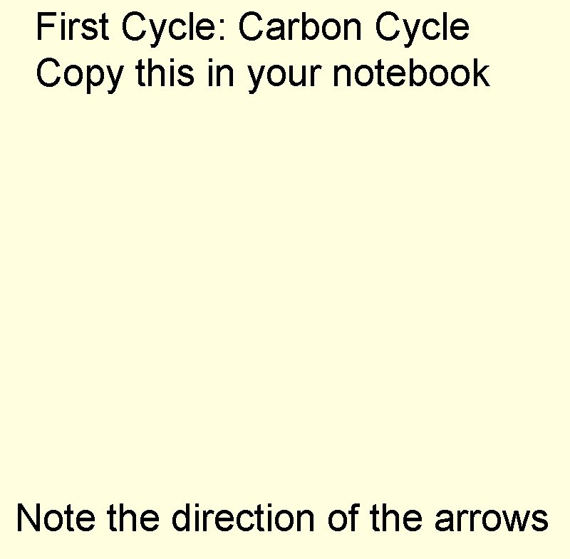 First Cycle: Carbon Cycle Copy this in your notebook Note the direction of the